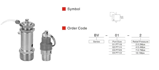 Sns Pneumatic Control Components Bv Series Data Sheet 1